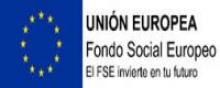 Fondo Social Europeo FPB